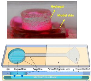 Zero-power hydrogel osmotic pump with microfluidic channel to collect non-invasive sweat or interstitial fluid samples on the evaporation pad.