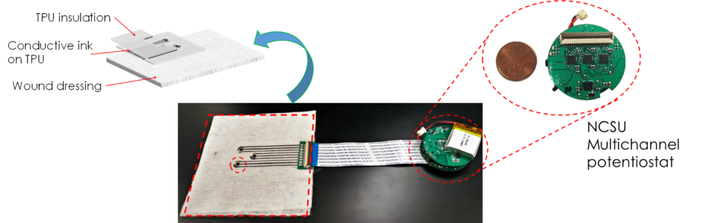 Flexible enzymatic sensors interfacing with testbed electronics for wound monitoring. 