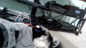 Dog vest sensor research 
