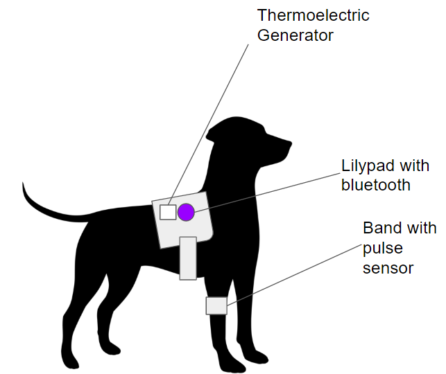 Sensors for dogs research 