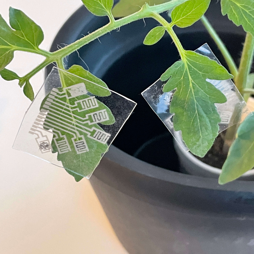 VOC sensor on plant